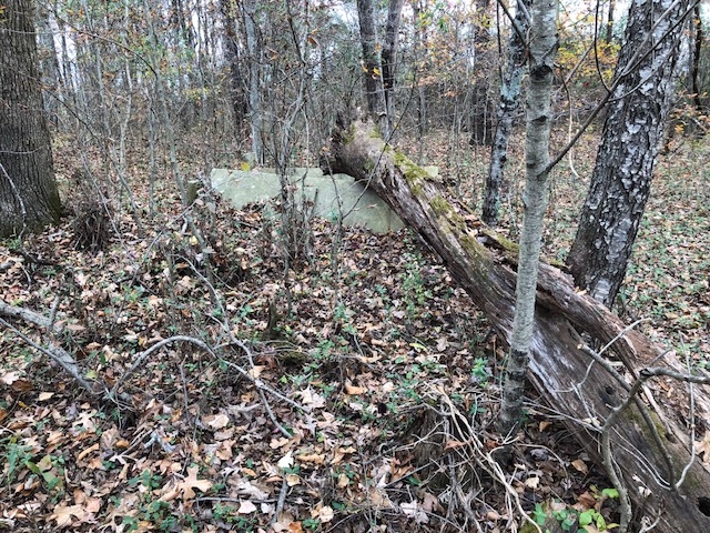 Grave marker damage in John S. Masters Cemetery